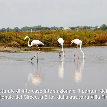 Piri * Sabaudia